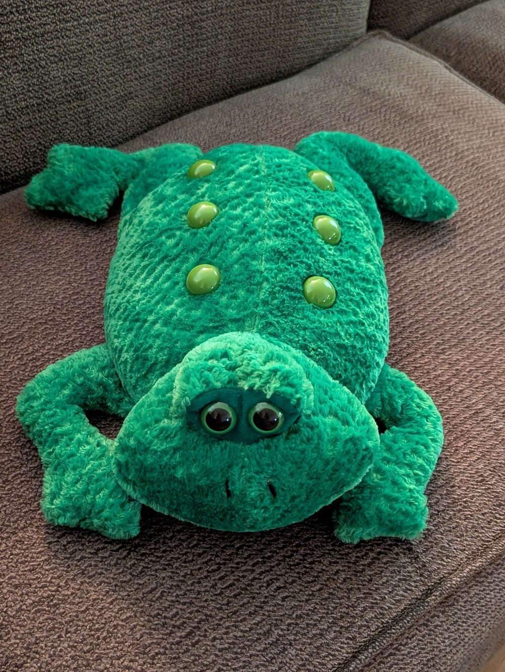 Leader Light Ltd. Kelly Green Frog Design Therapy/Sensory Pillow, 13" x 9"